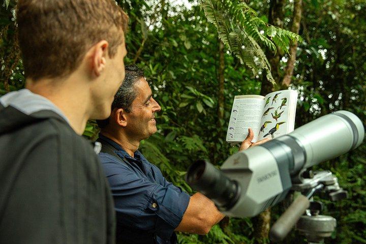 Braulio Carrillo Bird Watching Full Day Pass