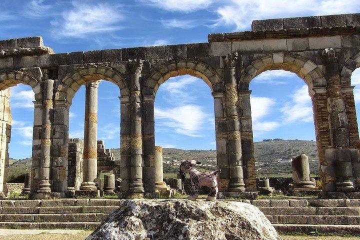 fes to volubilis and meknes day trip