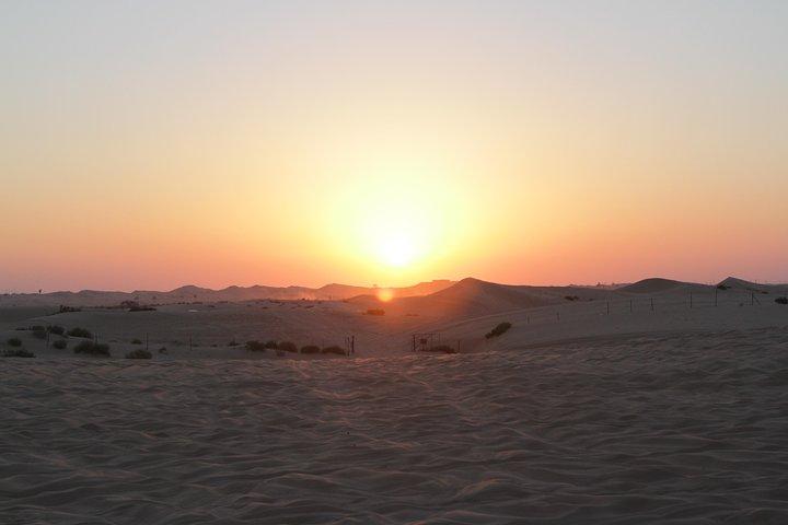 Wüstensafari in Abu Dhabi mit BBQ-Dinner und Shows