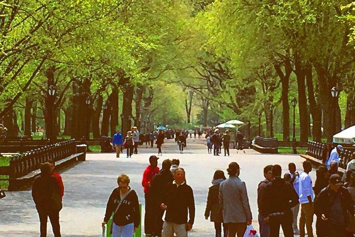 Pedicab Führung durch den Central Park