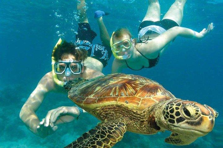 Watamu Marine Park & Sudi Island Mangrove Forest Canoe Ride. With sea food lunch