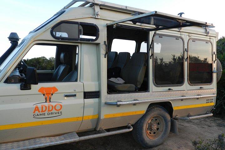 Addo Elephant 5 timers morgensafari.