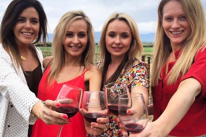 Visite originale des vignobles de l'après-midi de Santa Barbara