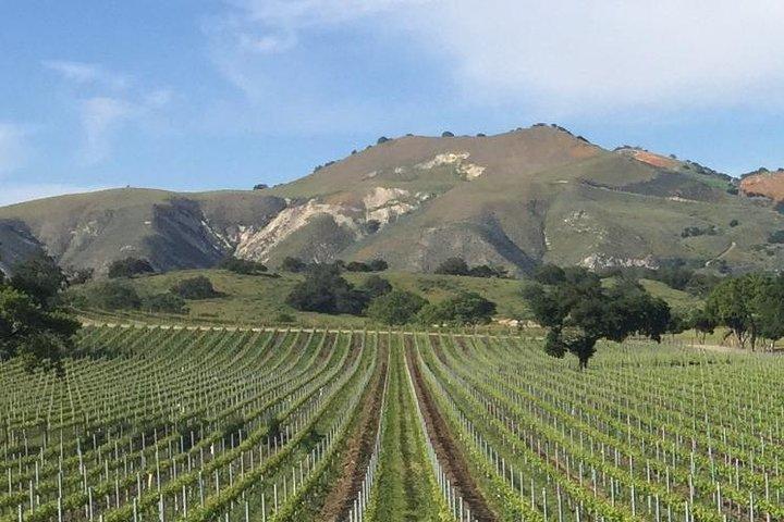 Santa Barbara's Original Afternoon Winery Tour