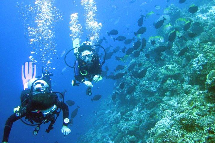 Fun Boat Dive for certified diver