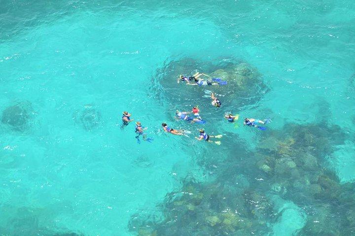 オールインクルーシブカリブ海アドベンチャー、リーフシュノーケリング、フード＆ドリンク