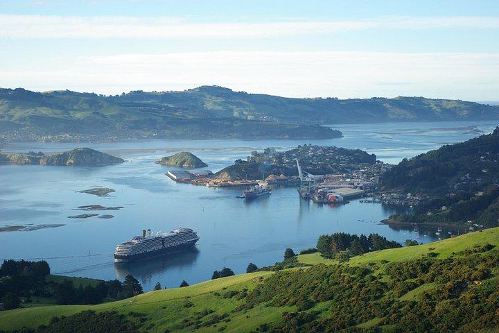 Dunedin Shore Excursion: Taieri Gorge Railway & City Sightseeing