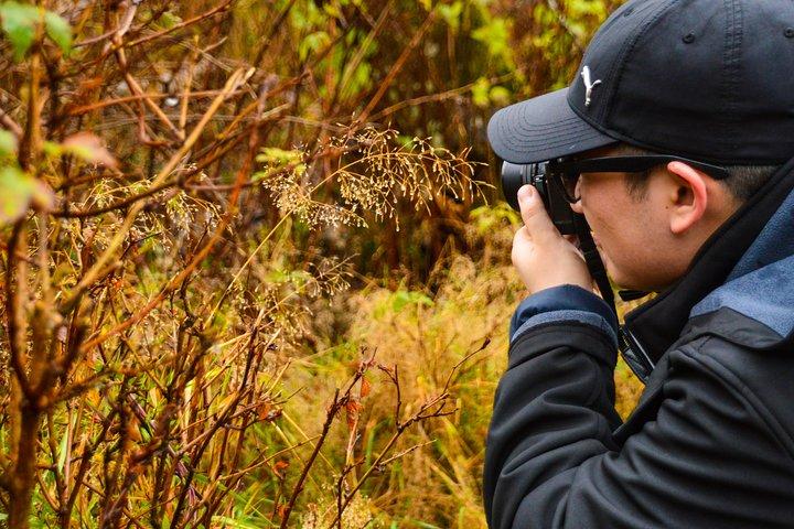 Fotografi, vandreture og færge til Bowen Island