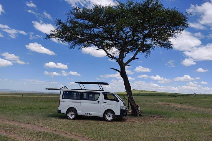 Halvsafari på eftermiddagen till Nairobi National Park