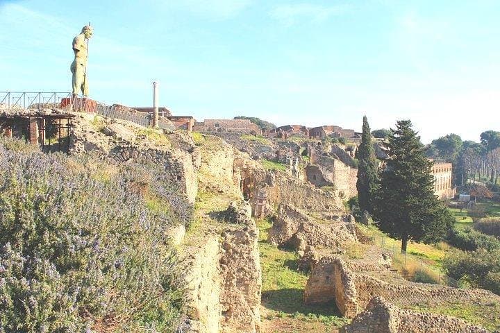 Pompeii and Herculaneum Private Tour with Native Guide and Skip the Line Tickets