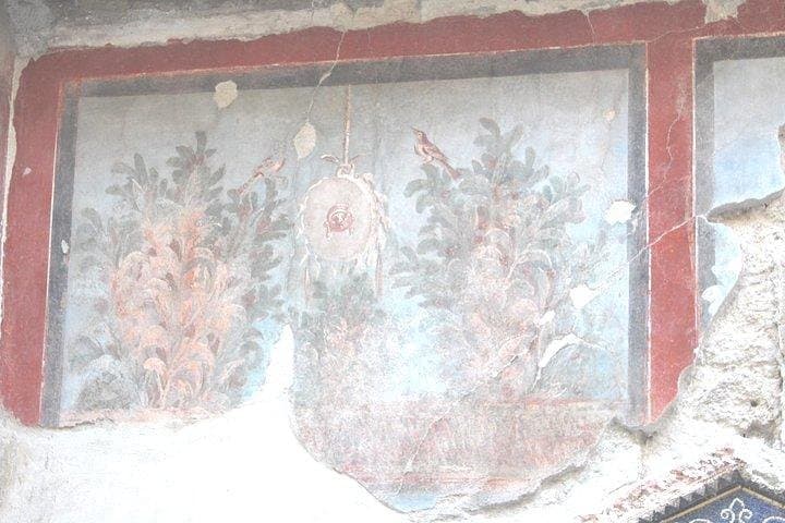 Pompeii and Herculaneum Private Tour with Native Guide and Skip the Line Tickets