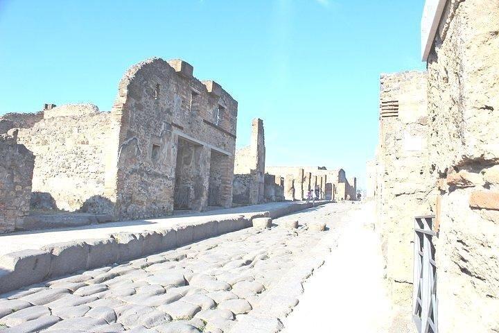 Tour guidato privato Roma-Pompei con pick-up in hotel e biglietti Skip the line
