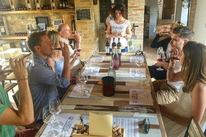 Experiência de vinho Brunello di Montalcino com um sommelier