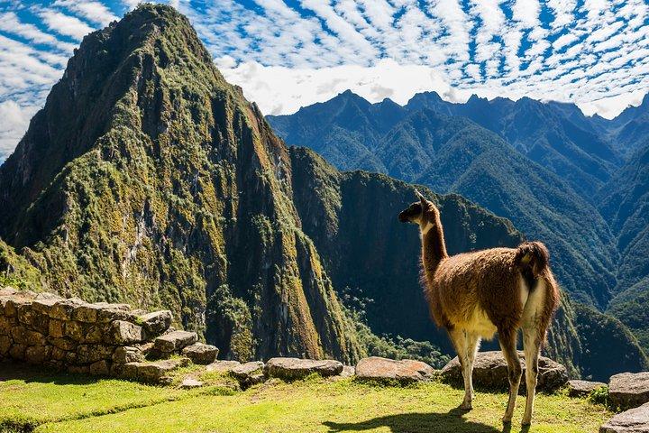 6 giorni straordinario Perù da Lima