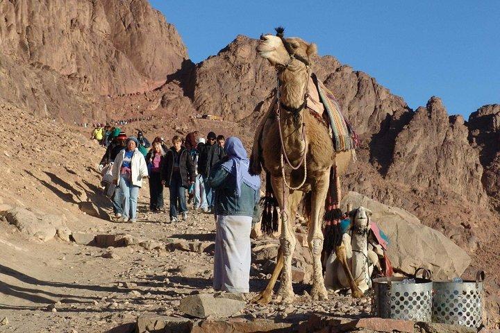 Overnight Trip to St. Catherine Monastery and Mount Sinai