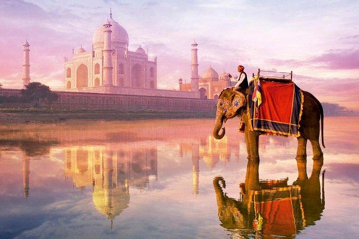 Exklusiv: Taj Mahal & Abhaneri Step Wells Tour ab Jaipur inklusive Mittagessen