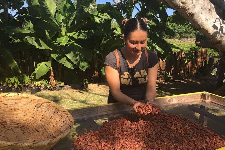 Tour del cioccolato a Vallarta