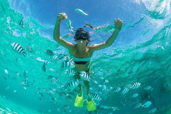 Explore Coral & Raya Islands – Excursão de um dia de Speedboat a partir de Phuket