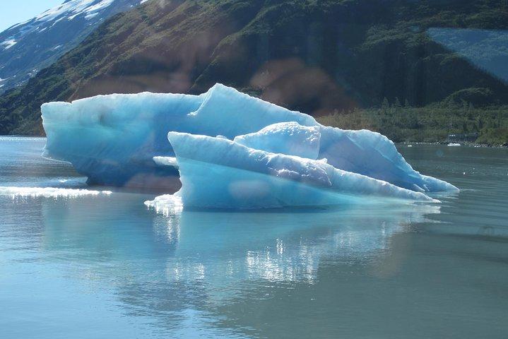 Croisière au glacier Portage et Wildlife Explorer Tour