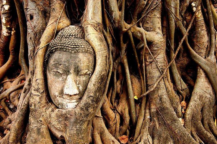 Opdagelse af det bedste fra Bangkok-program: Halv- eller heldagstur