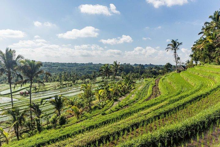 Tour di West Bali: Taman Ayun, Ulun Danu Beratan, Jatiluwih Rice Terrace, Tanah Lot