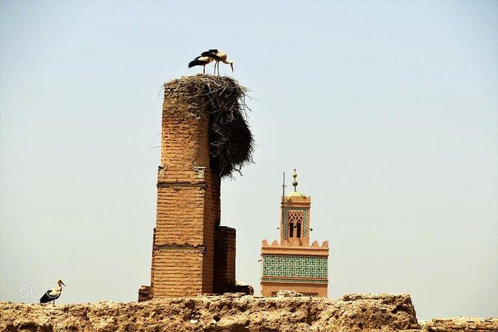 Half Day Guided cityTour Of Marrakesh
