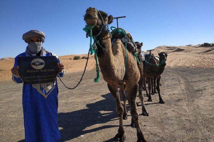 Marrakech - Deserto de Zagora - Marrakech 2 dias tour