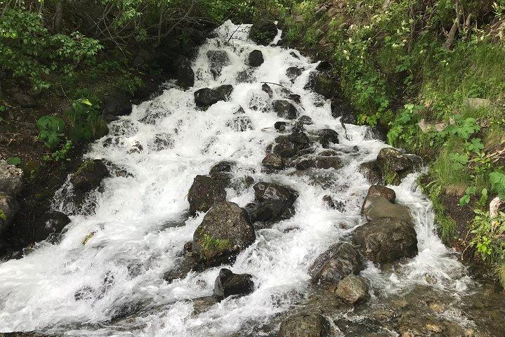 Superbe Tour Turnagain Arm: "Une destination incontournable"
