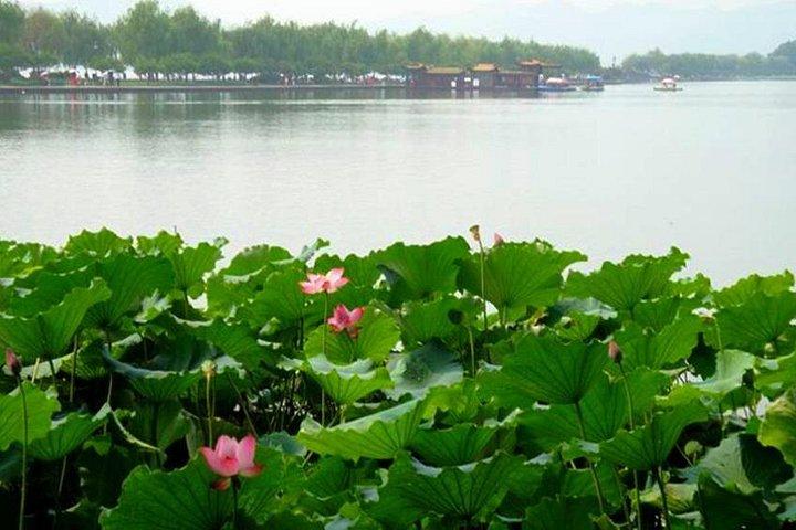 杭州：上海から西湖クルーズを含む地上天国日帰り旅行