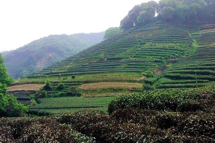 杭州：上海から西湖クルーズを含む地上天国日帰り旅行