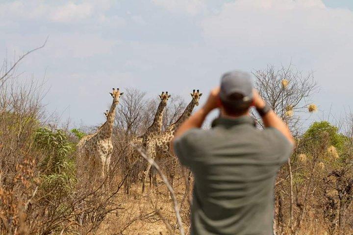 Private Game Drive e Chobe River Cruise