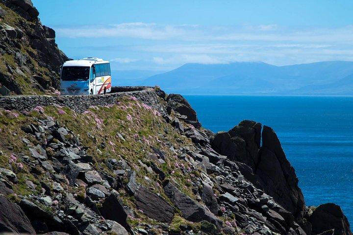 Killarney Super Saver: Dingle en Slea Head Day Trip plus Ring of Kerry en Killarney Lakes Day Trip