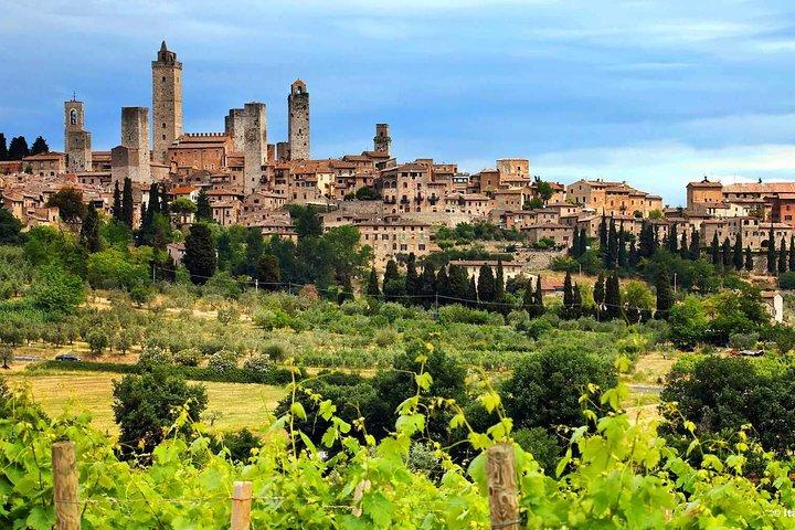 Excursion à terre de Livourne à la région du Chianti avec dégustation de vin et déjeuner