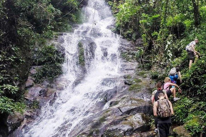 Chiang mai Hike & Downhill Bike Adventure – Parc national de Suthep