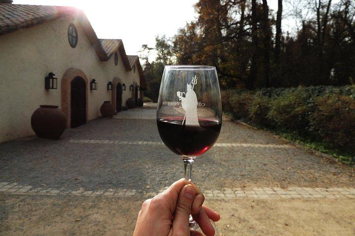 Lille Halvdags Tour til Concha y Toro Winery