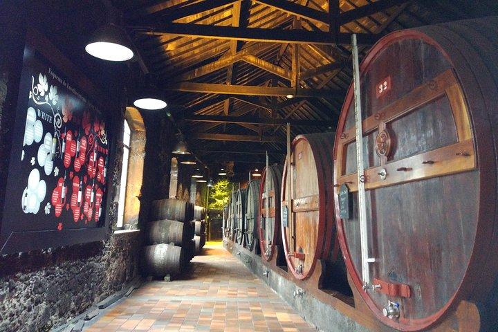 Tour dei Port Wine Lodges con 7 degustazioni di vino di Porto (Inglese)
