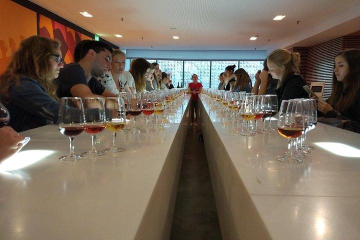 Tour por Port Wine Lodges, incluindo 7 degustações de vinhos portuários (Inglês)