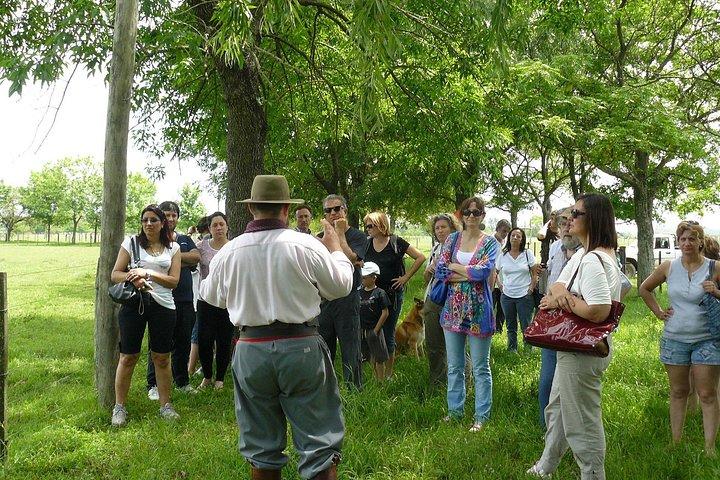 Excursion privée d'une journée à l'estancia argentine