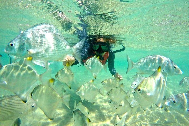 Gold Coast Kayaking & snorkling tur (2,5 timer)