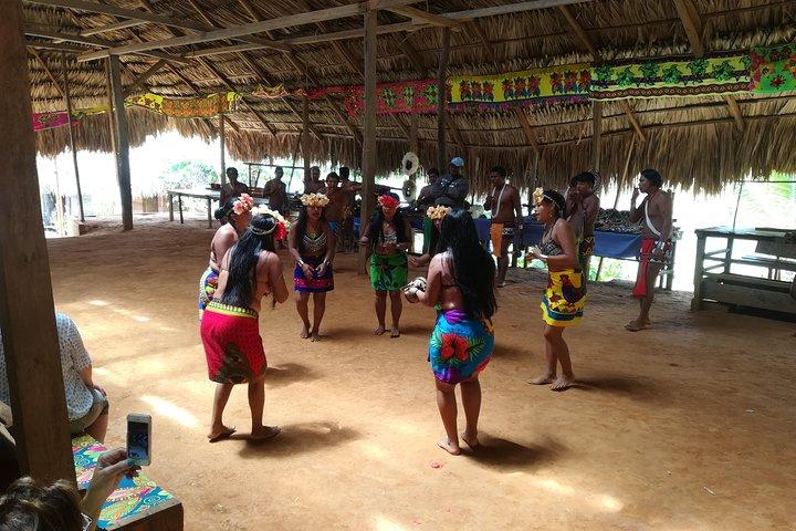 Private Embera Village (vandfald besøg med frokost inkluderet)