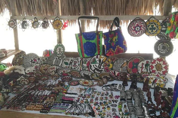Visita privata alla cascata di Embera Village con pranzo incluso
