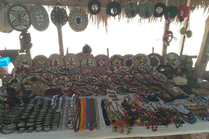 Visita privata alla cascata di Embera Village con pranzo incluso