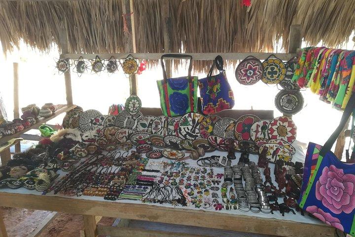 Visita privata alla cascata di Embera Village con pranzo incluso