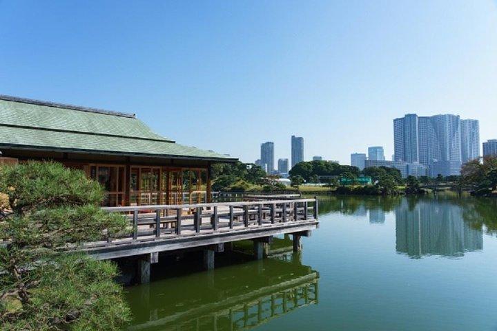 東京のプライベートチャータードタクシーツアー