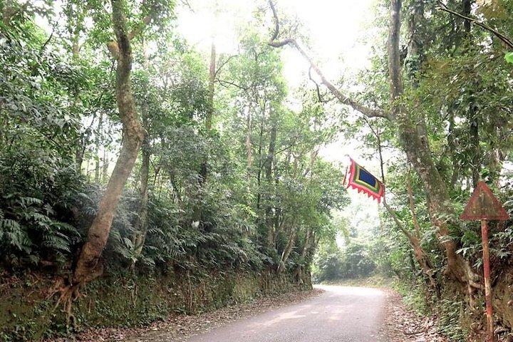 バヴィ国立公園プライベートツアー：観光とジャングルハイキング