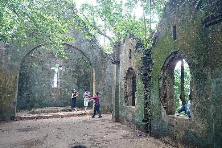 バヴィ国立公園プライベートツアー：観光とジャングルハイキング