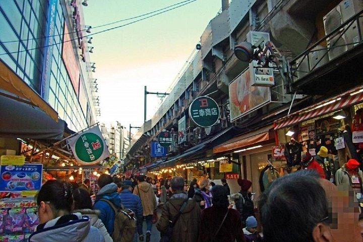 水上バスで東京のプライベートウォーキングツアー