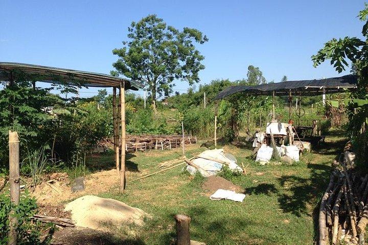 Giornata intera Hoi An Rural Life, Bike, Basket Boats, Farms & Fields (Tour privato)
