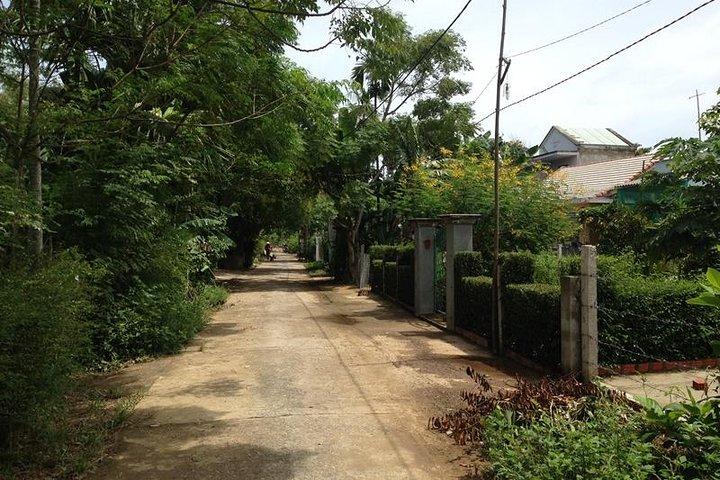 Giornata intera Hoi An Rural Life, Bike, Basket Boats, Farms & Fields (Tour privato)