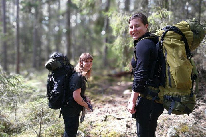 スウェーデン語フィカの伝統文化を巡るストックホルム夏の自然ハイキングツアー